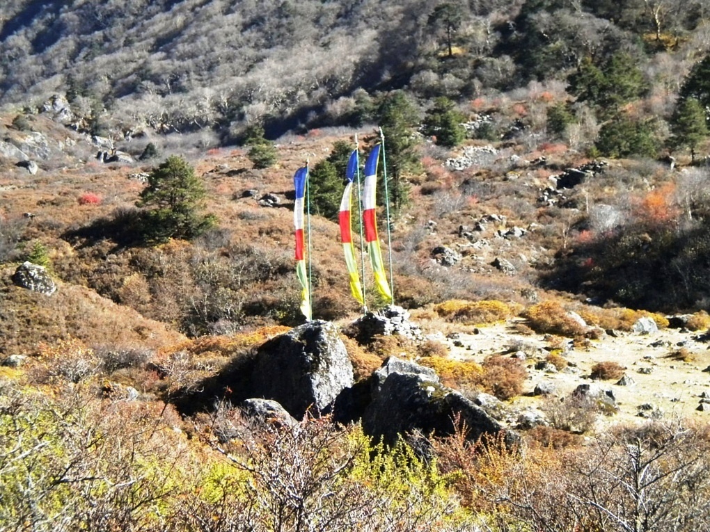 Syabru Besi-Kyanjin Gompa (10)
