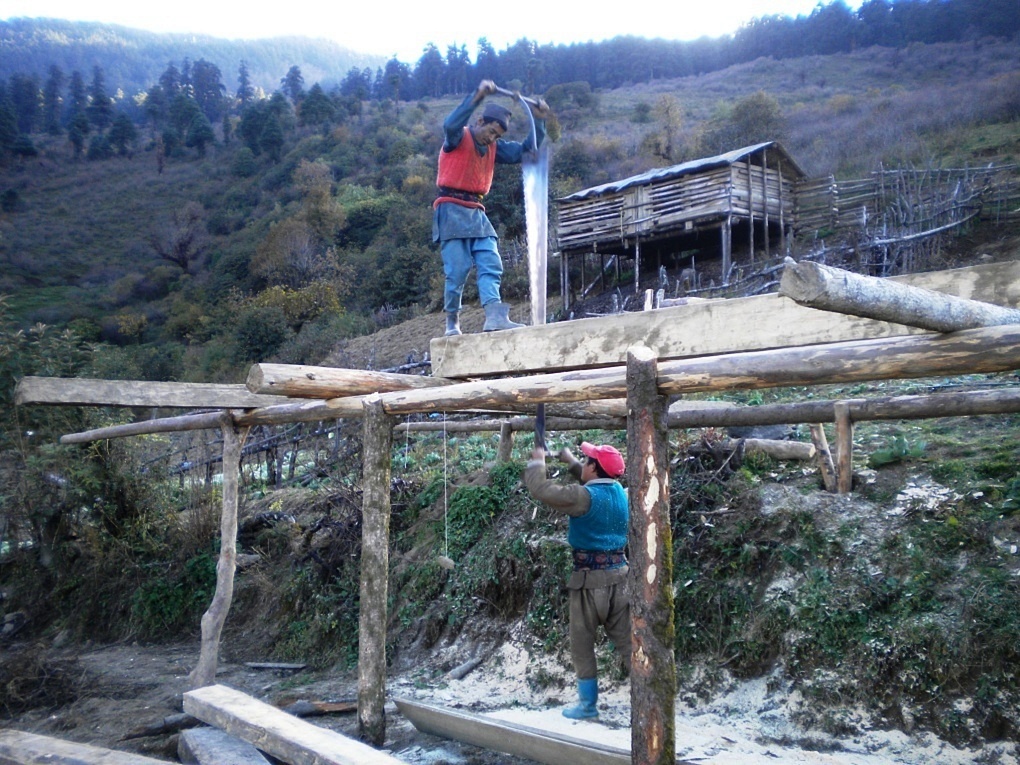 Kyanjin gompa-Gosainkund (4)
