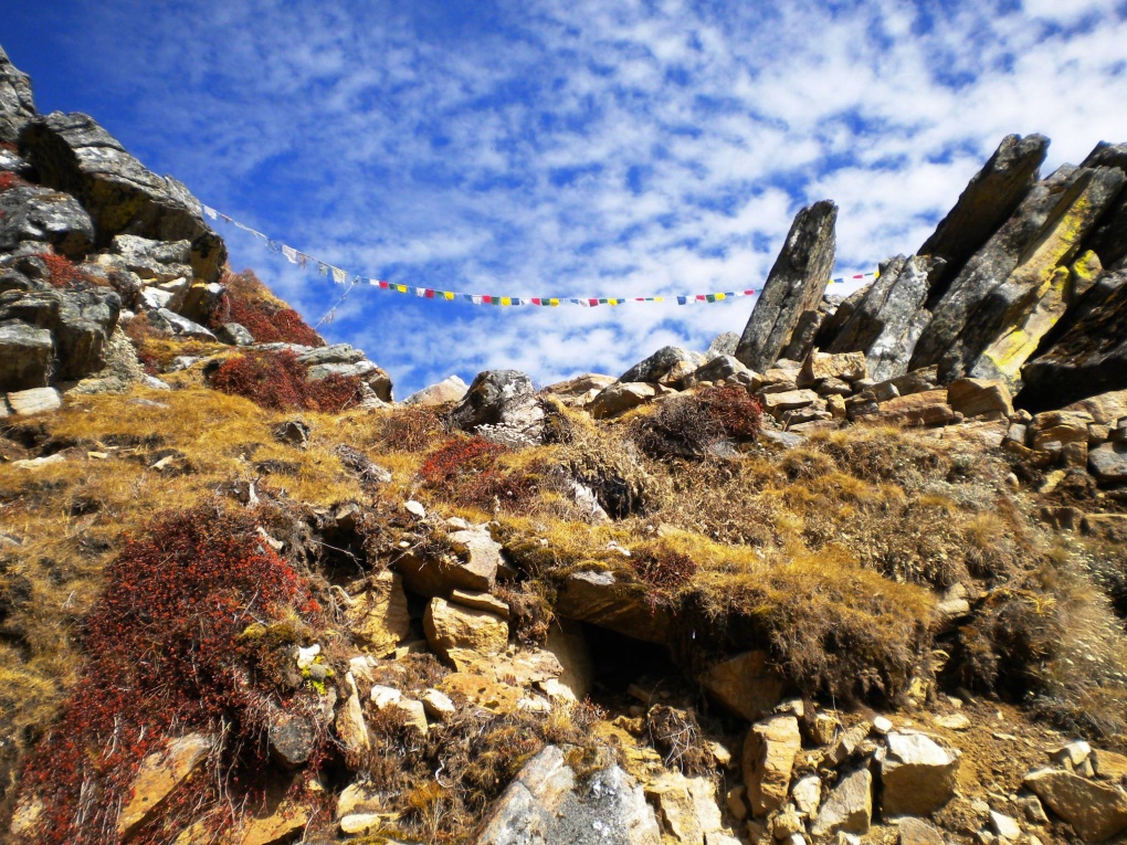 Kyanjin gompa-Gosainkund (12)