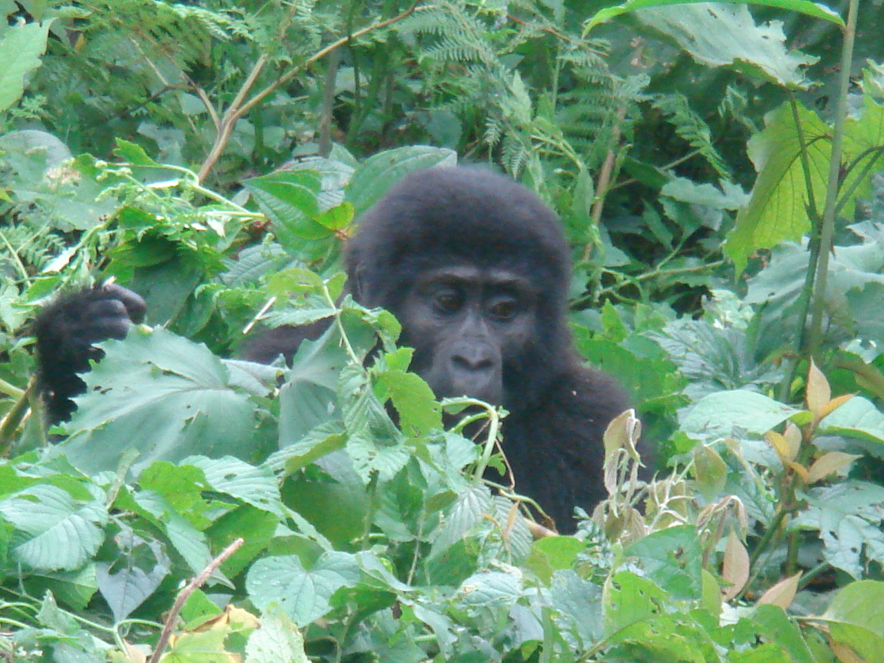 Uganda2008 (73)