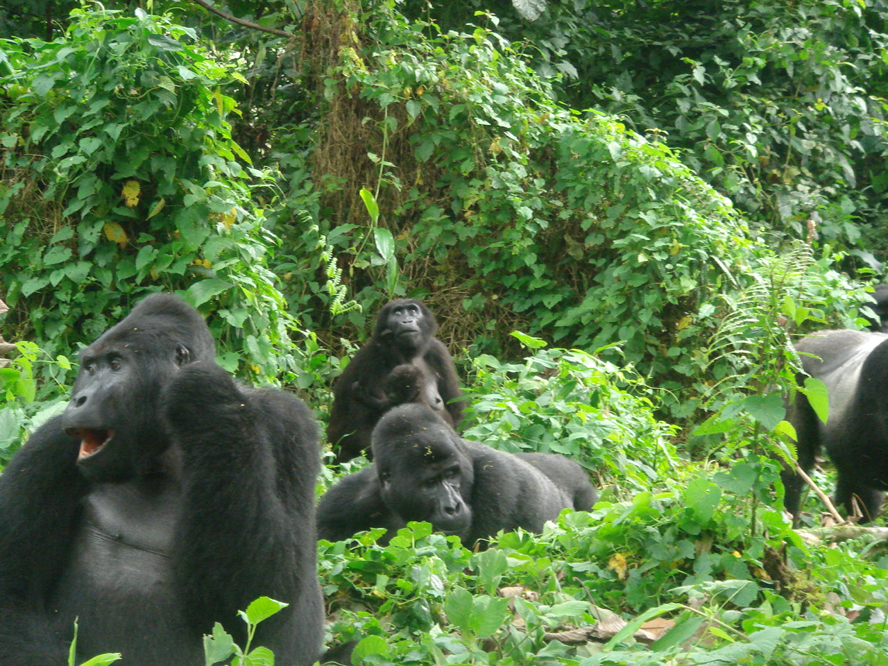 Uganda2008 (74)