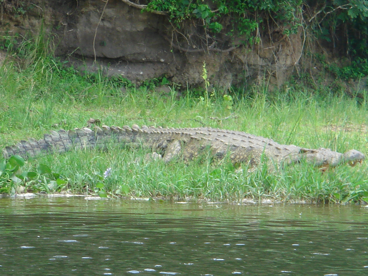 Uganda2008 (48)