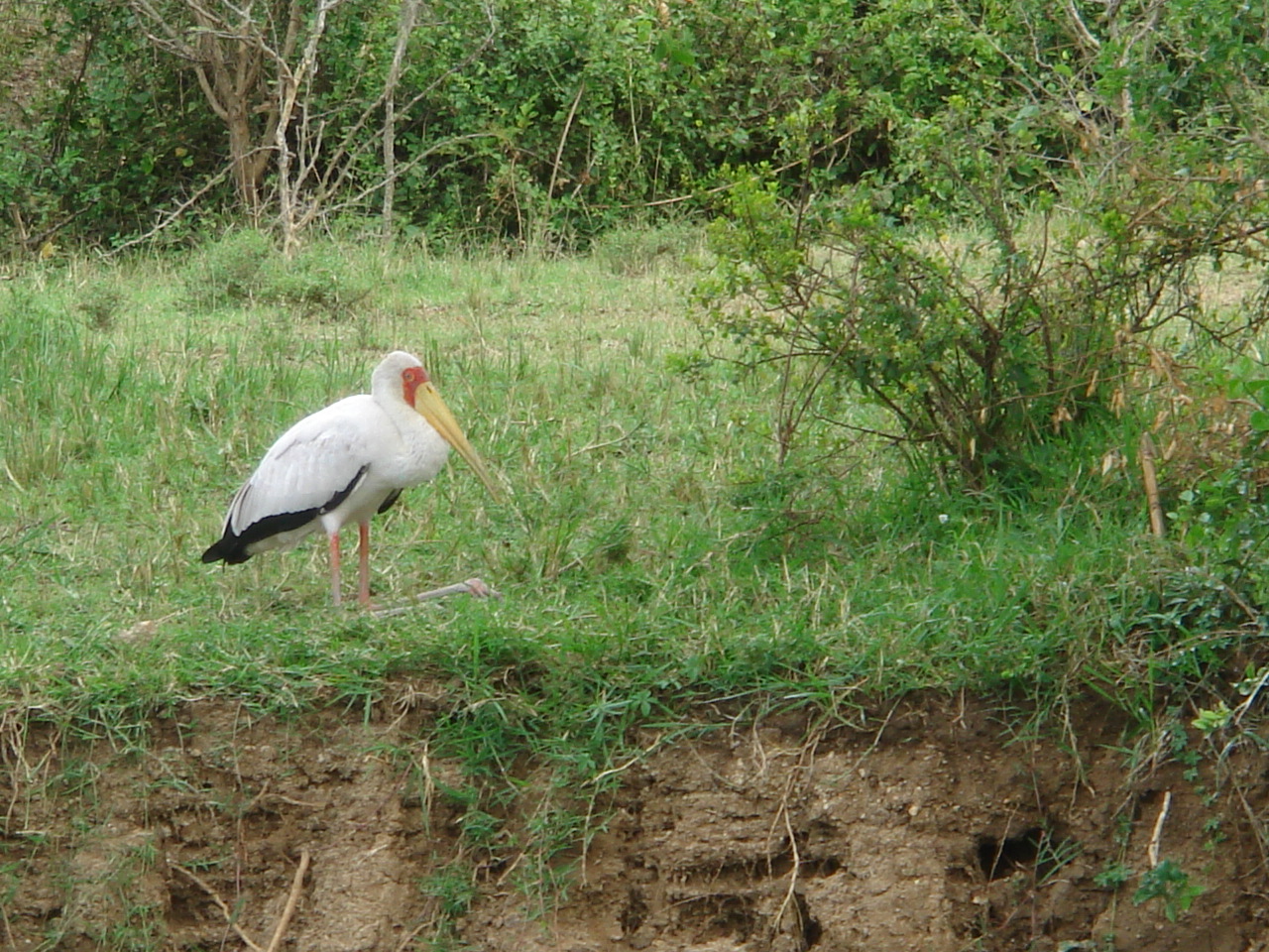 Uganda2008 (53)