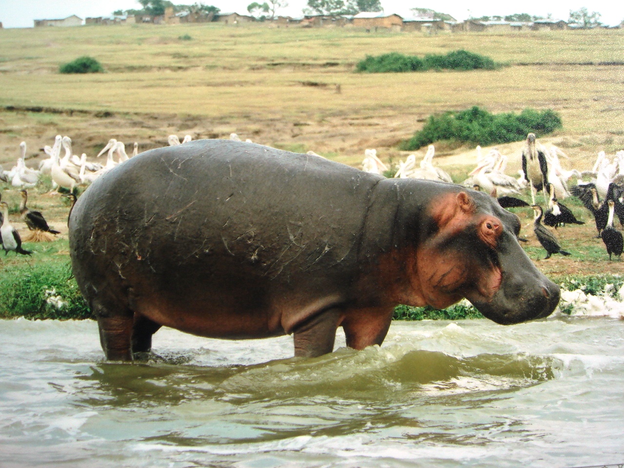 Uganda2008 (55)