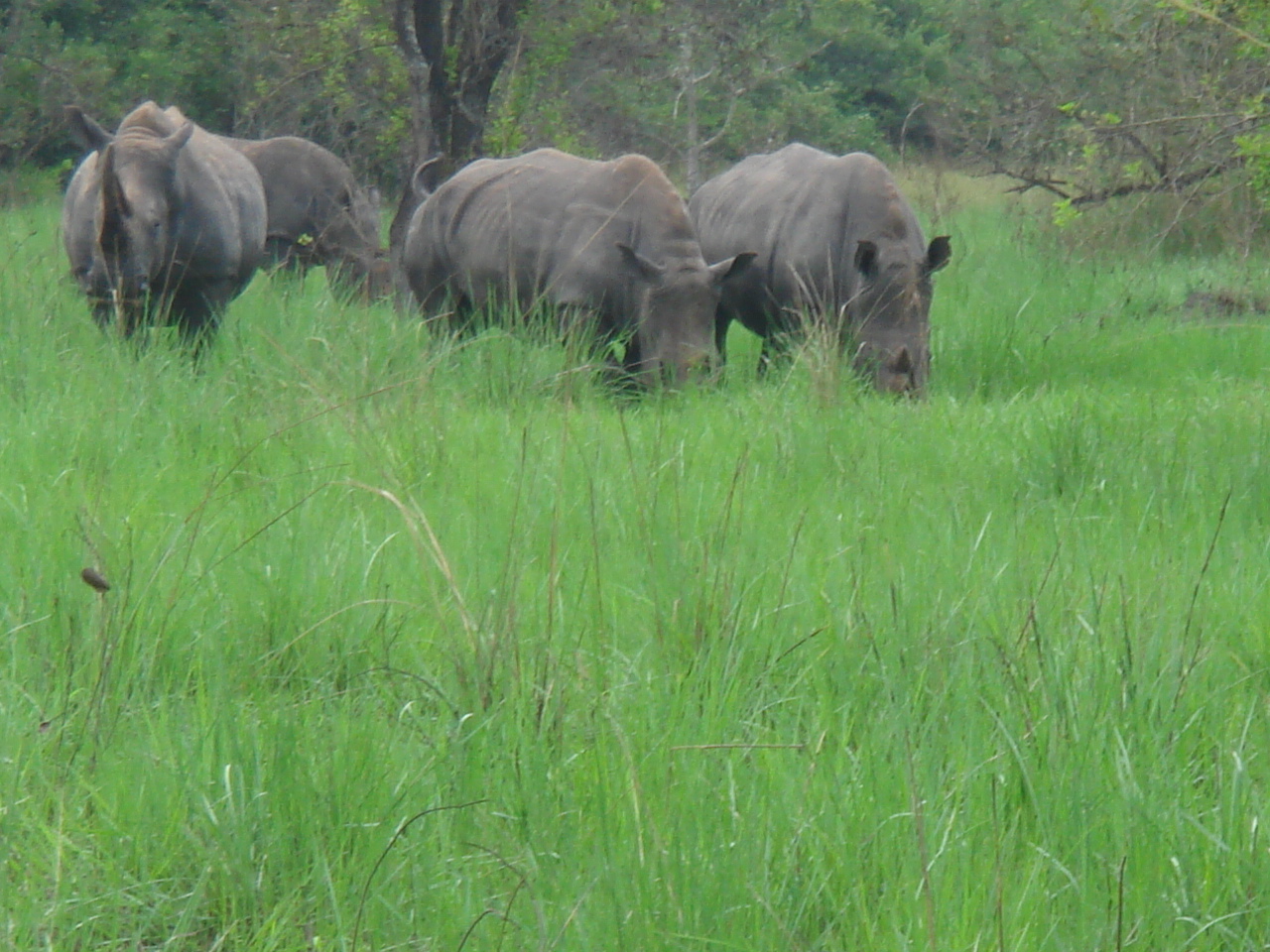 Uganda2008 (10)