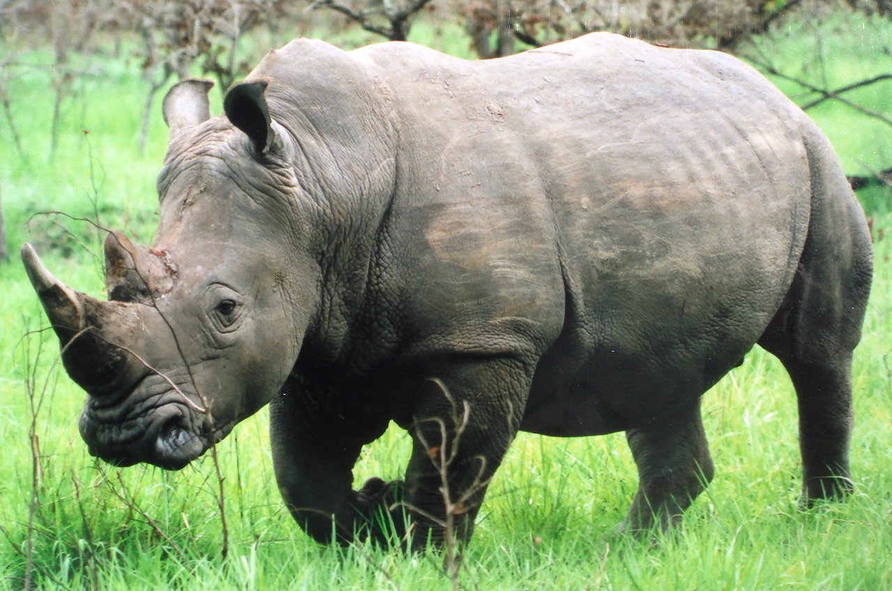 Uganda2008 (13)