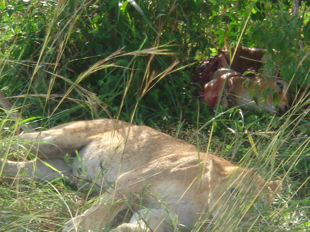 Uganda2008 (24)