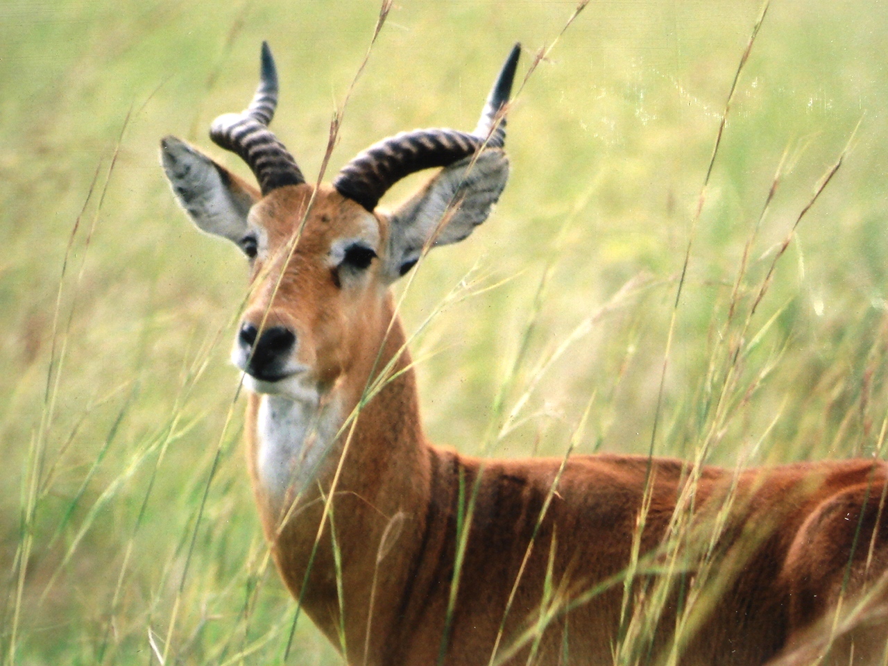Uganda2008 (28)