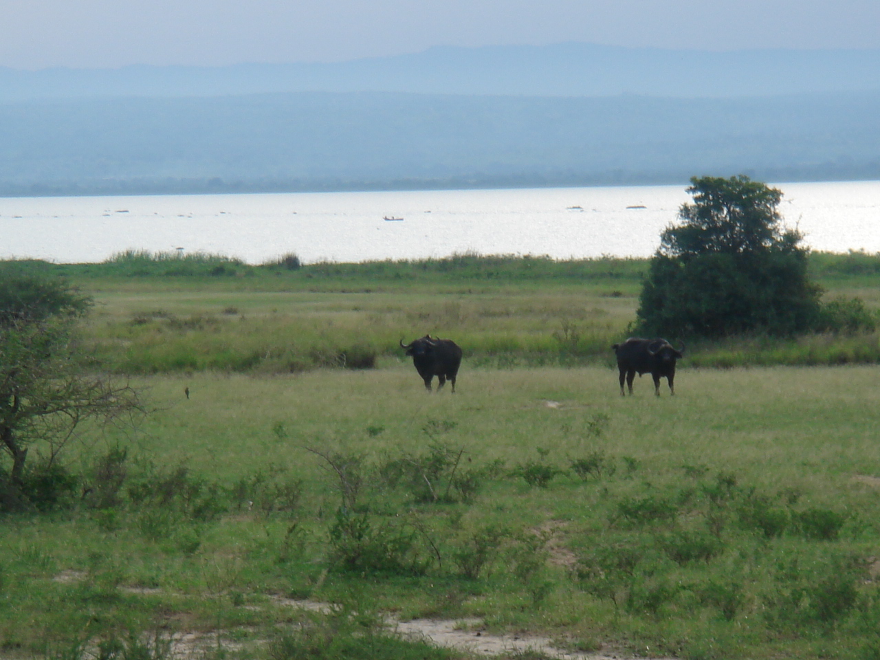 Uganda2008 (30)