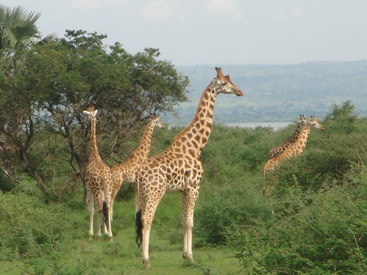 Uganda2008 (33)