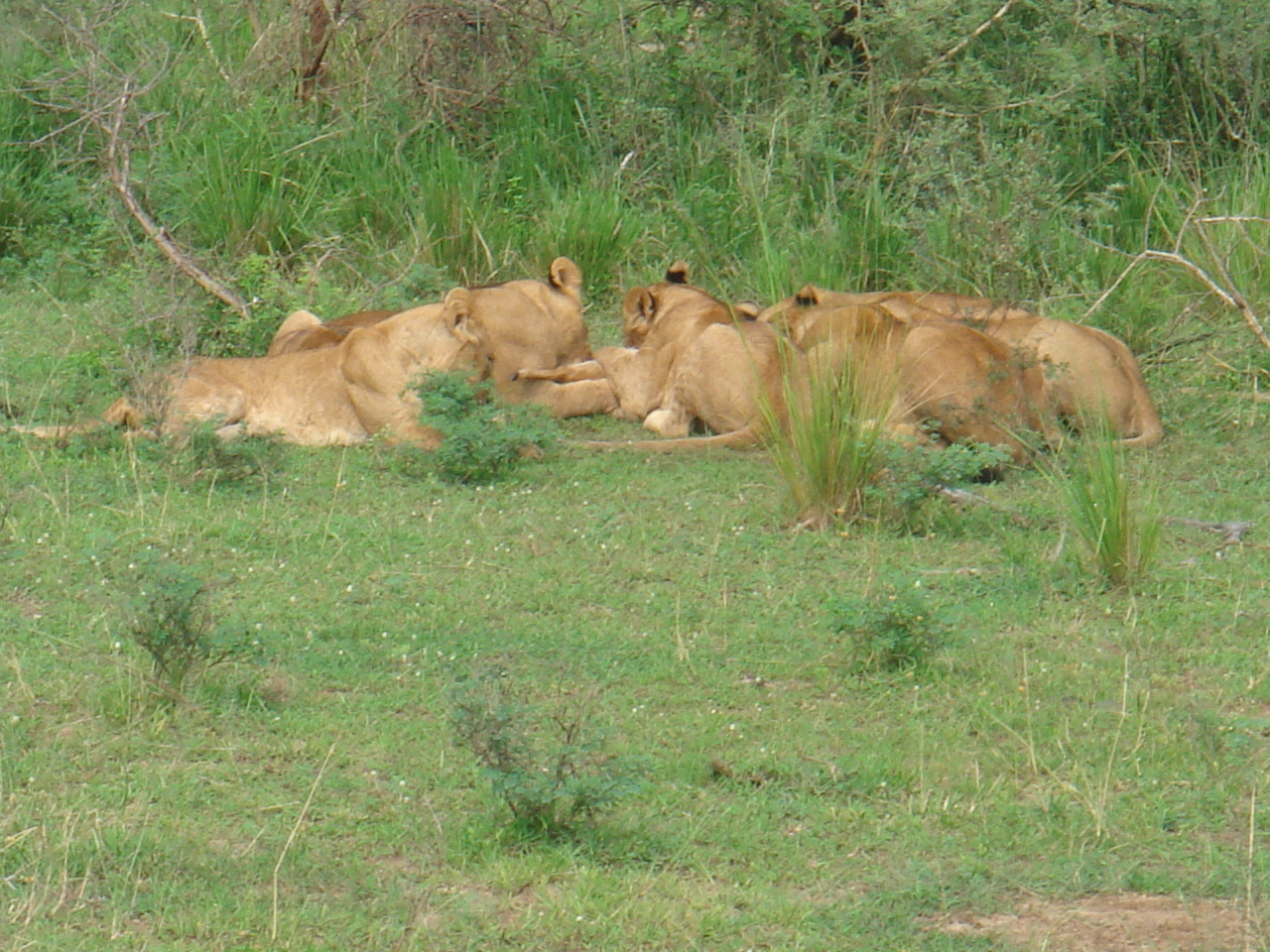 Uganda2008 (34)