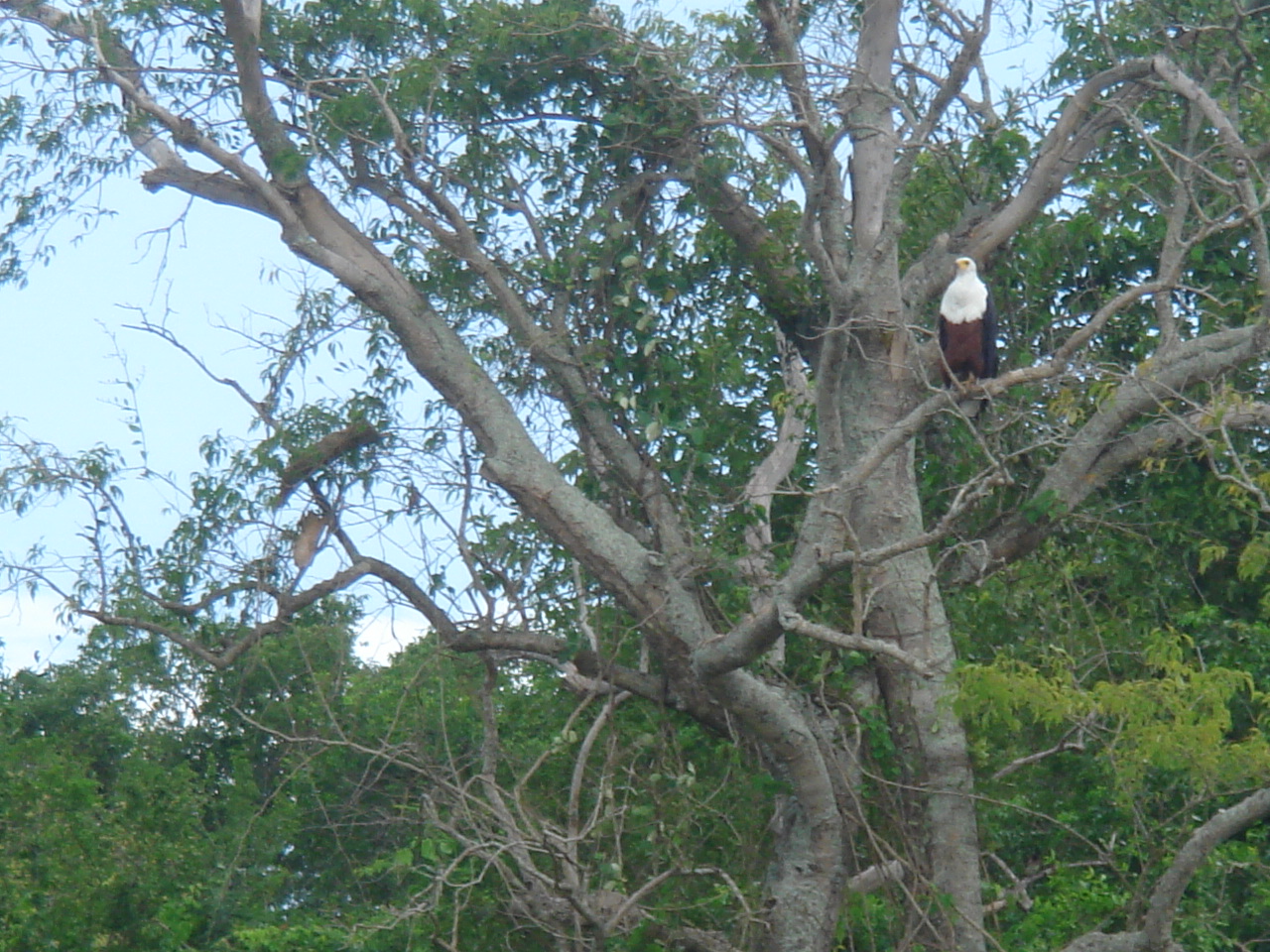 Uganda2008 (36)