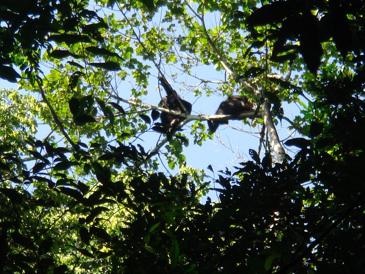 Uganda2008 (38)