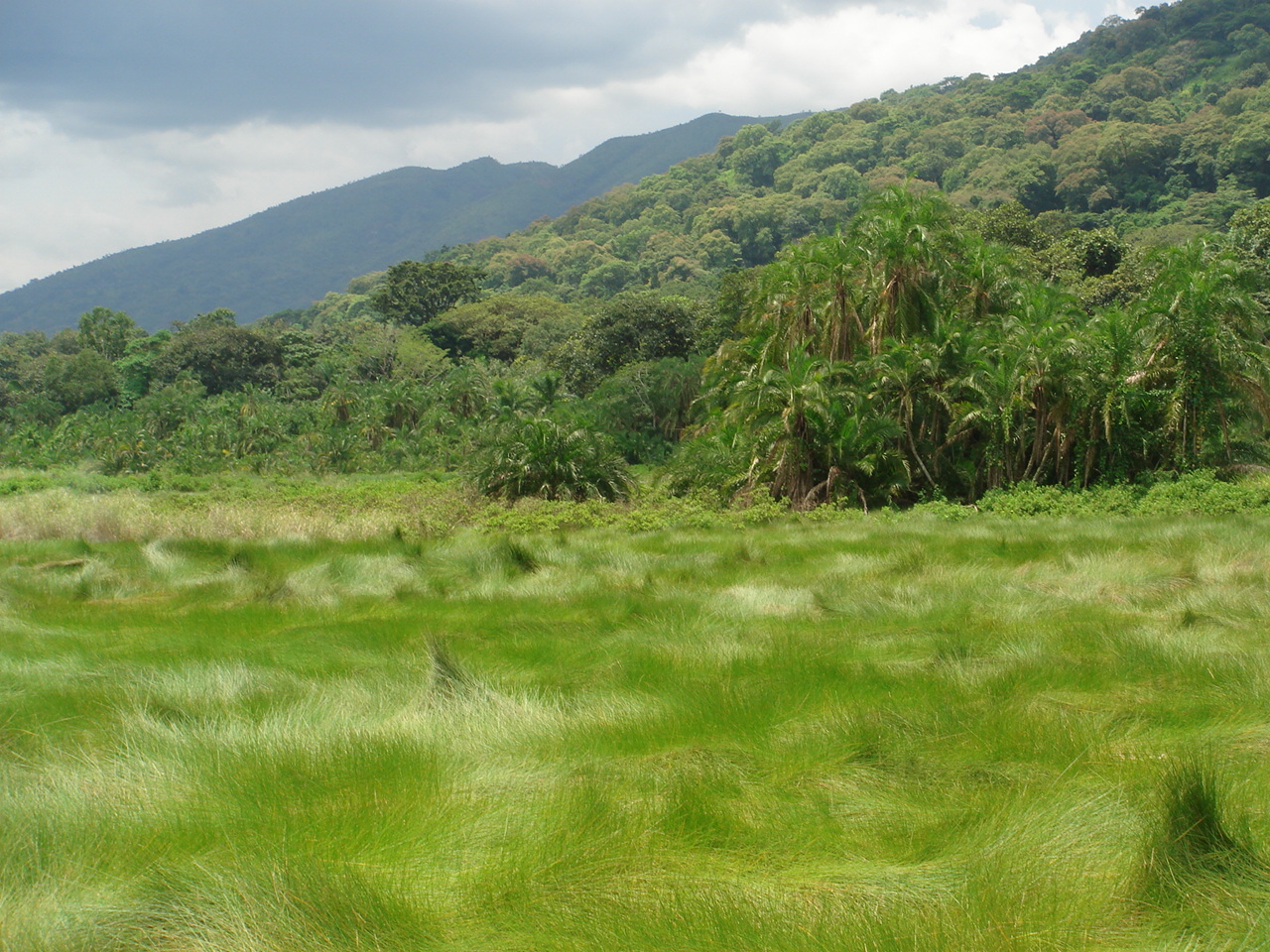 Uganda2008 (42)
