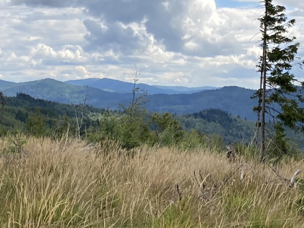 IMG-7054