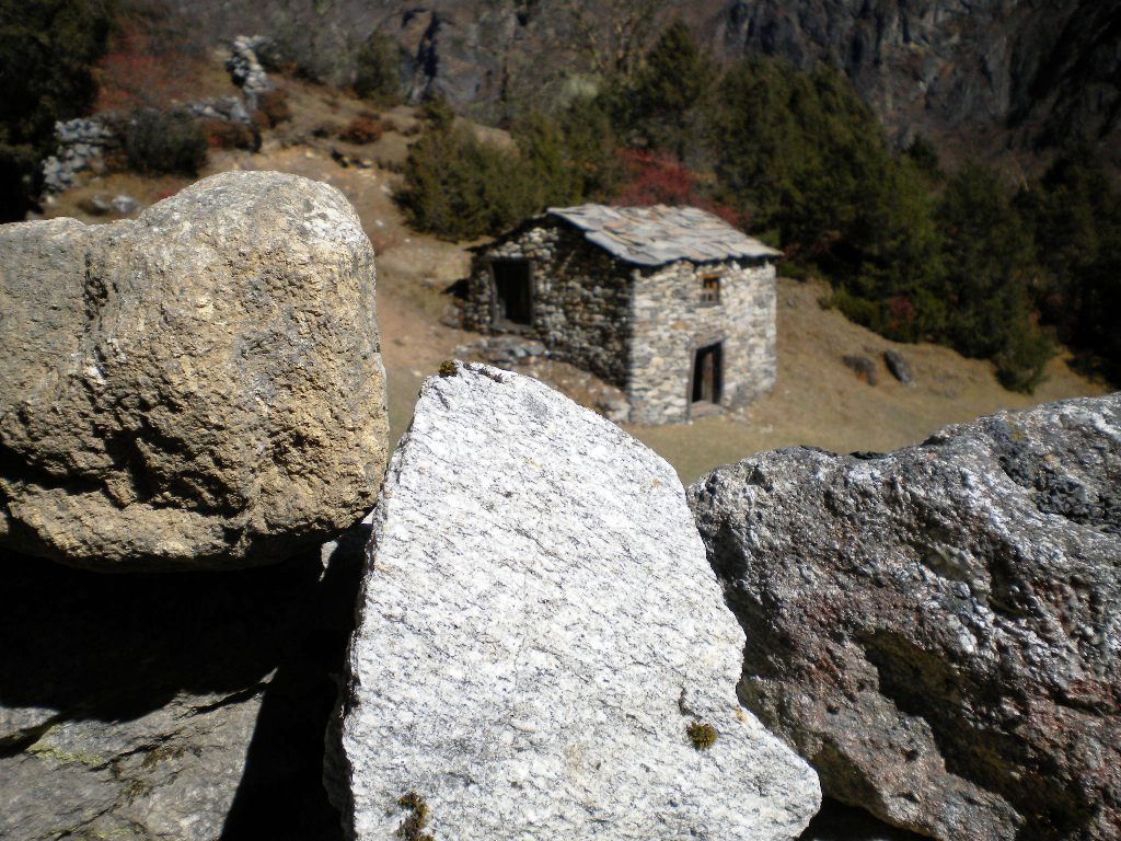 DSCN0841