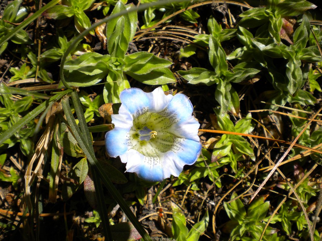 DSCN0644