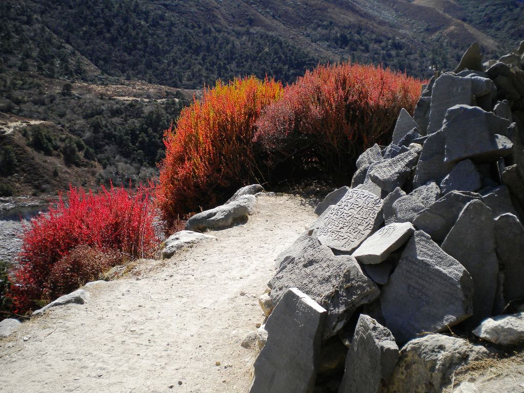 Pangboche 3.930m