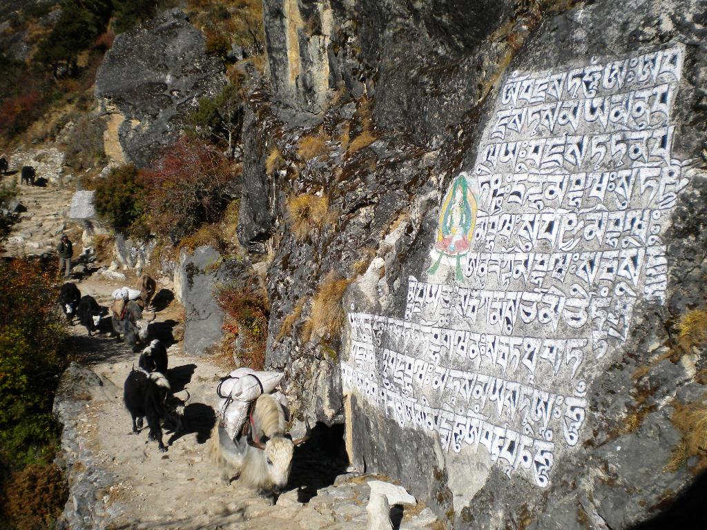 Tengboche 3.860m (4)