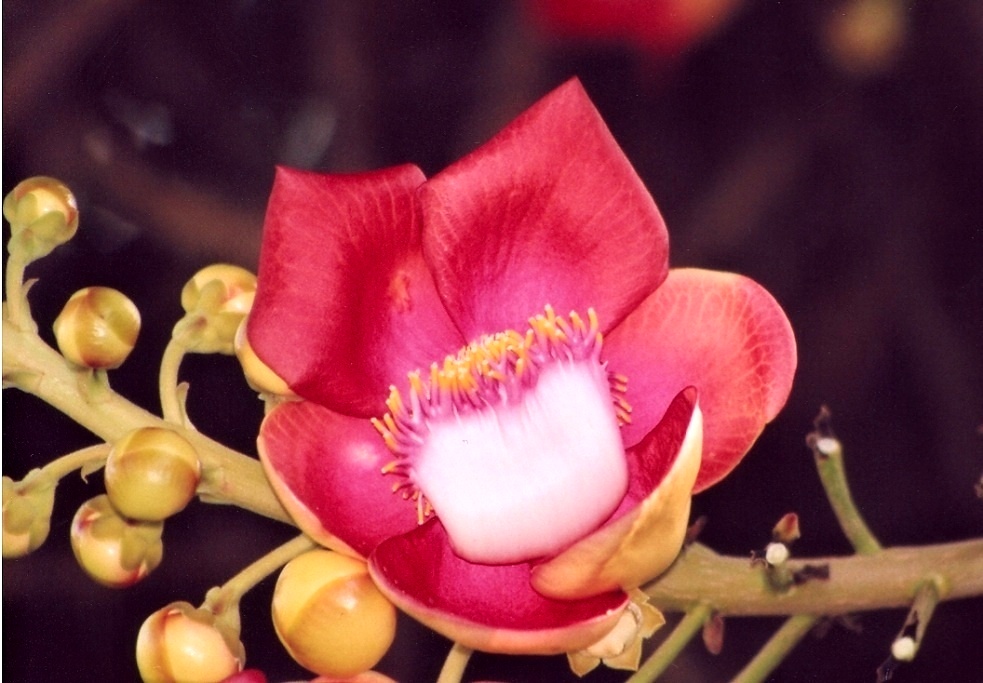 0097