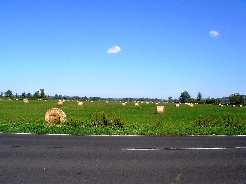 DSC08569