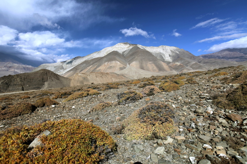 Kali Gandaki (7)
