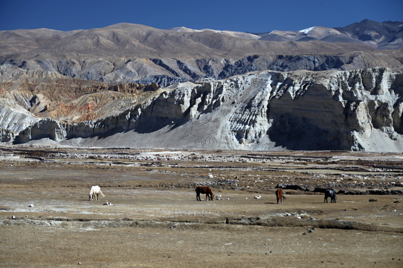 Lo country (11)