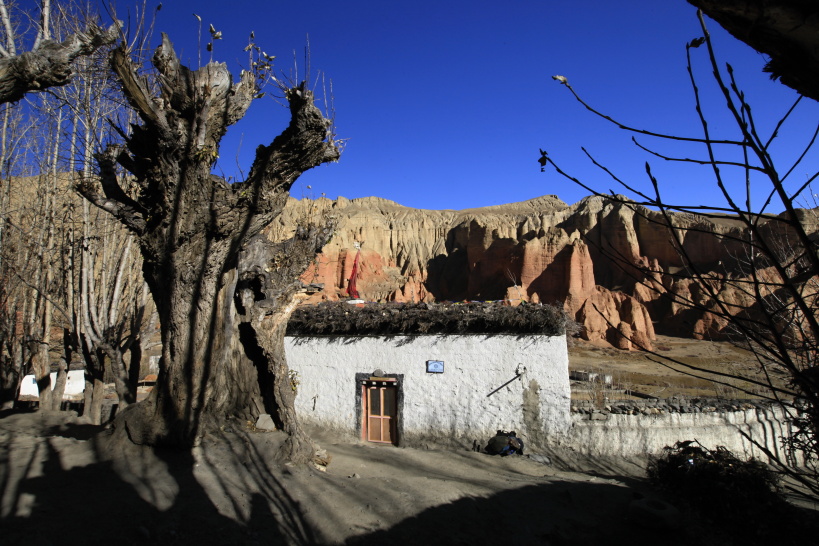 Dhakmar (8)