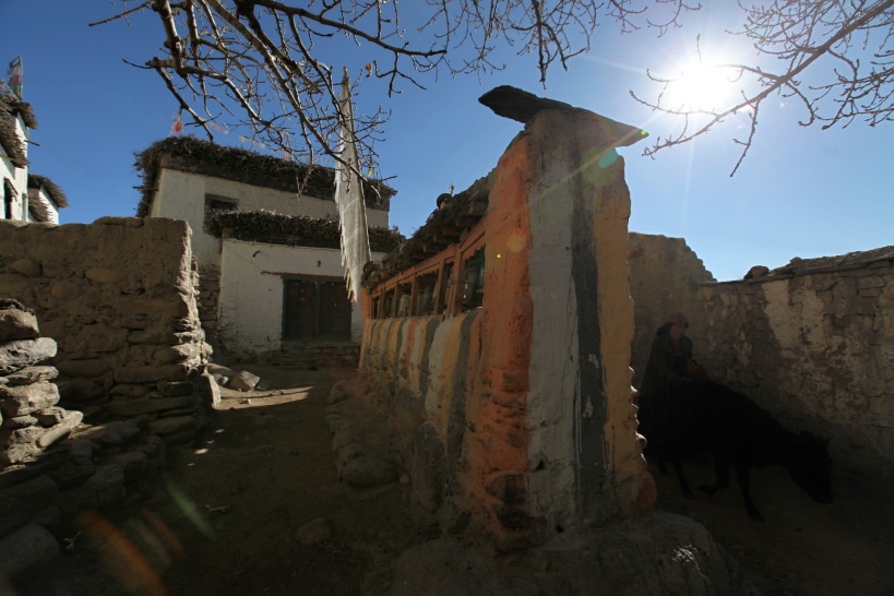 Ghemi (1)