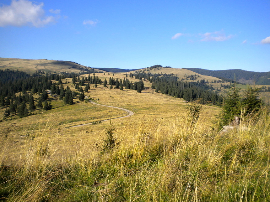 Sedlo Prislop (7)