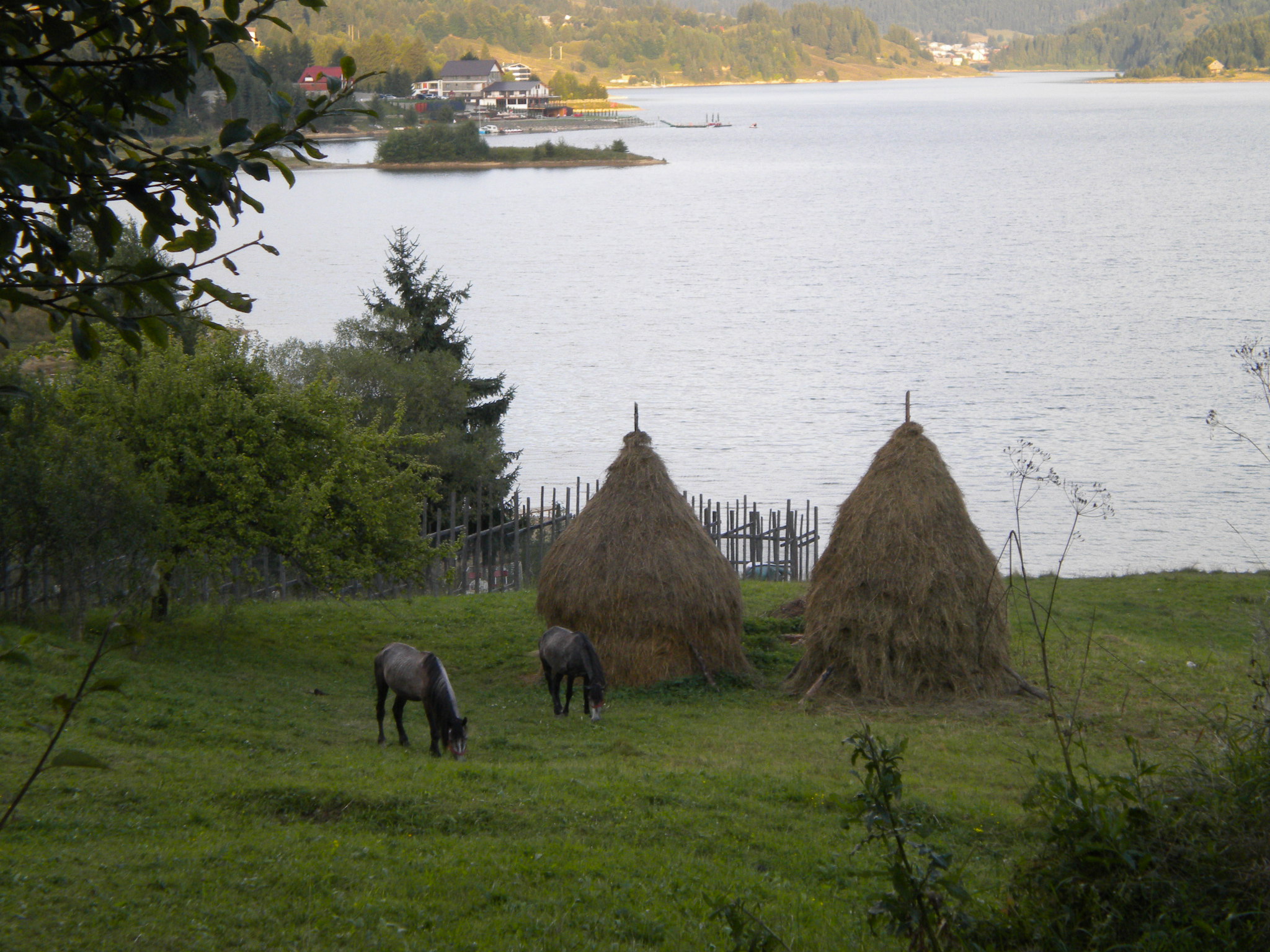 Jezero Colibita (5)