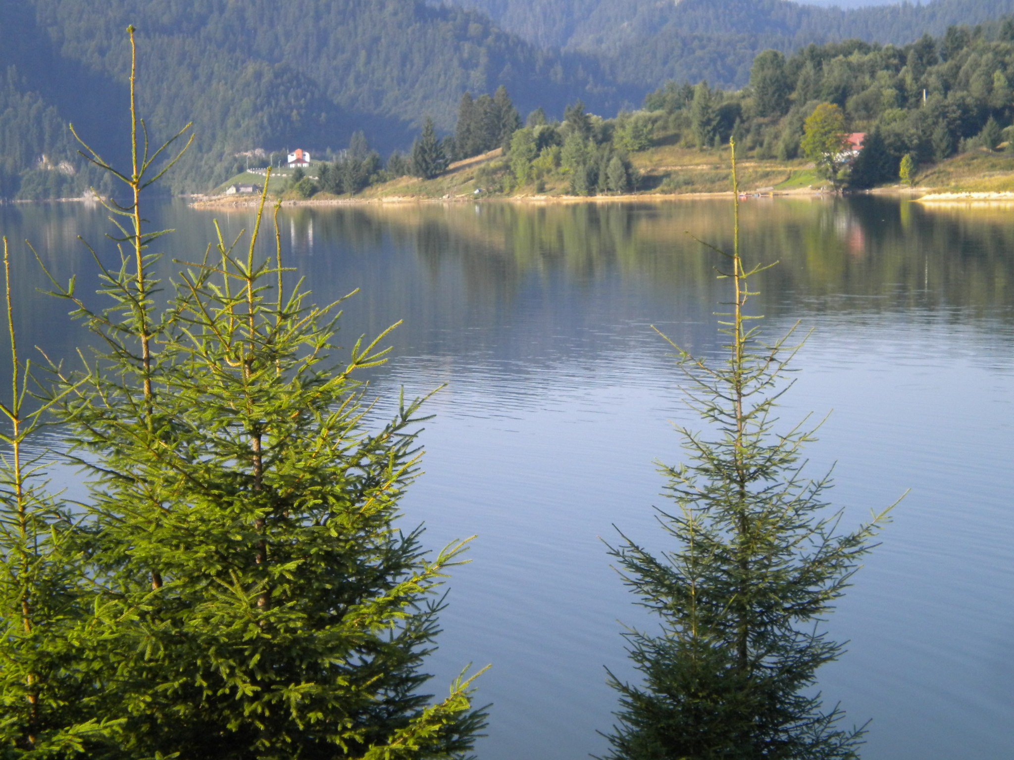Jezero Colibita (11)