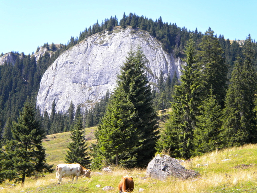 Trek v Rarau k Pietrele Doamnei (5)