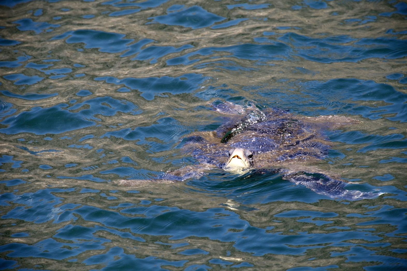 IMG_2420