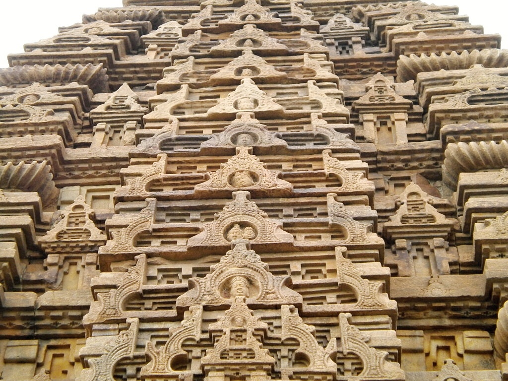 DSCN6731