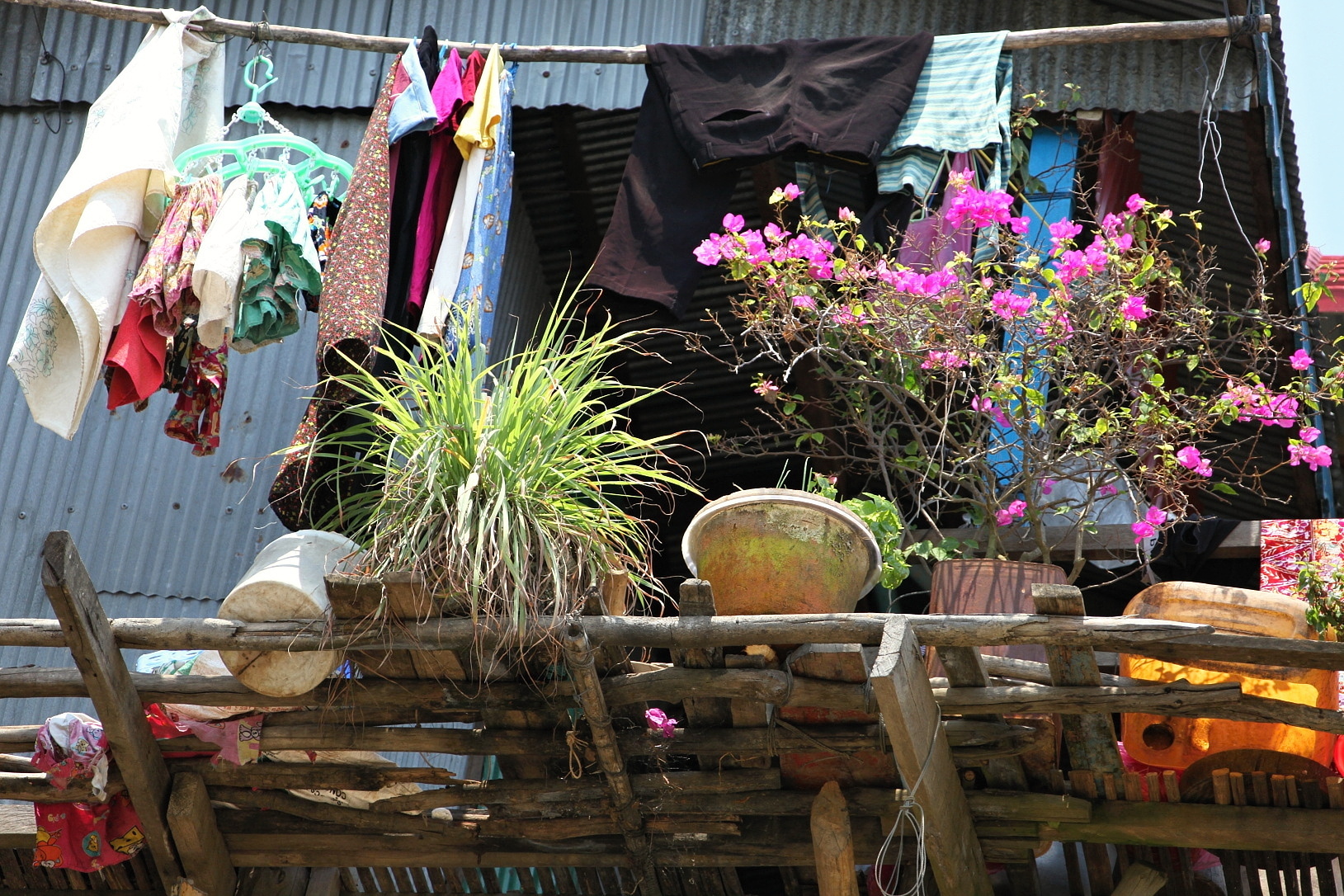 IMG_5418