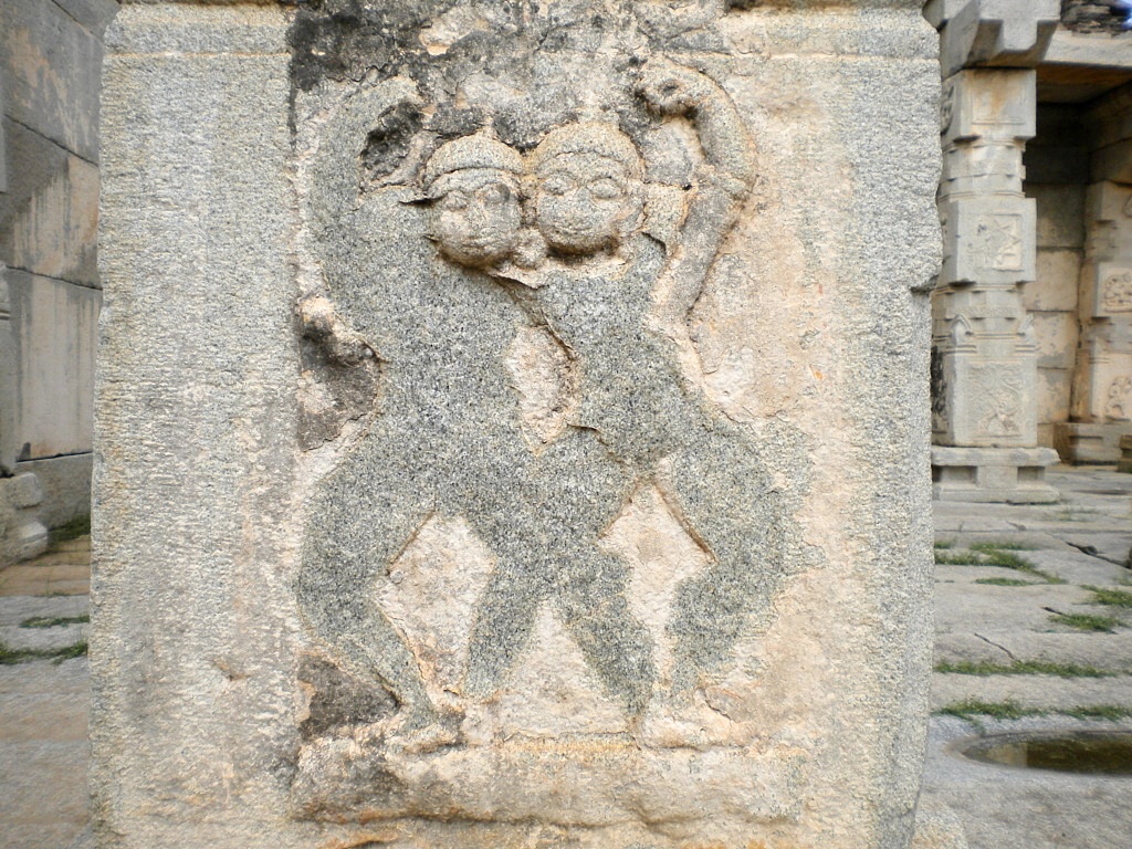 DSCN6402