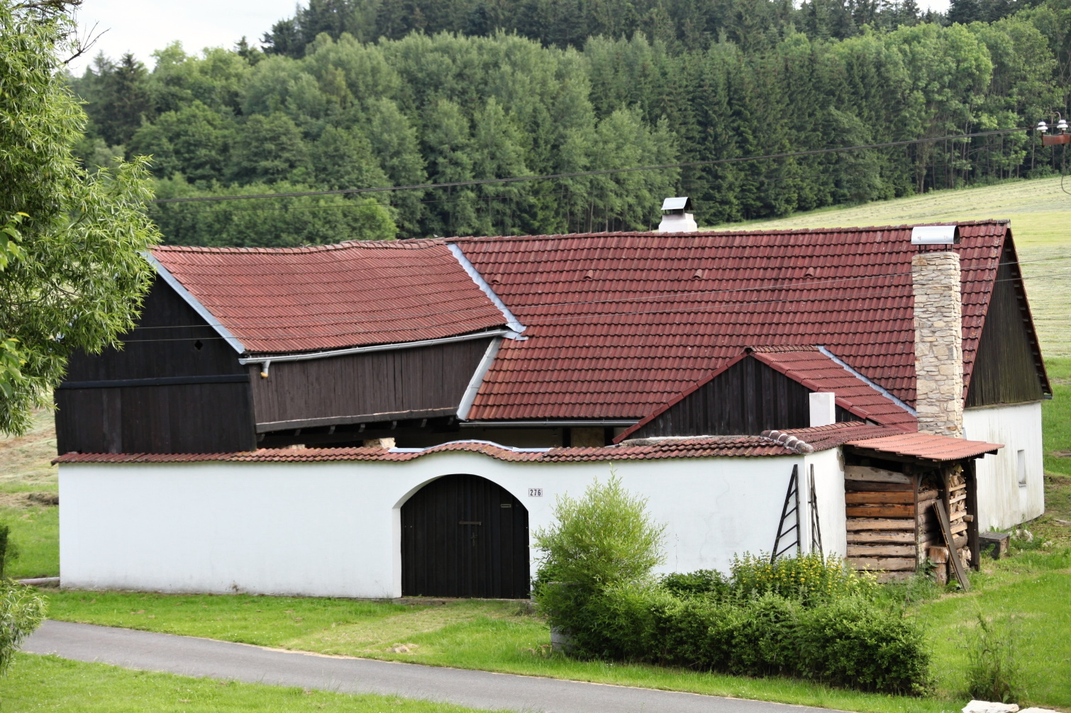 IMG_3545