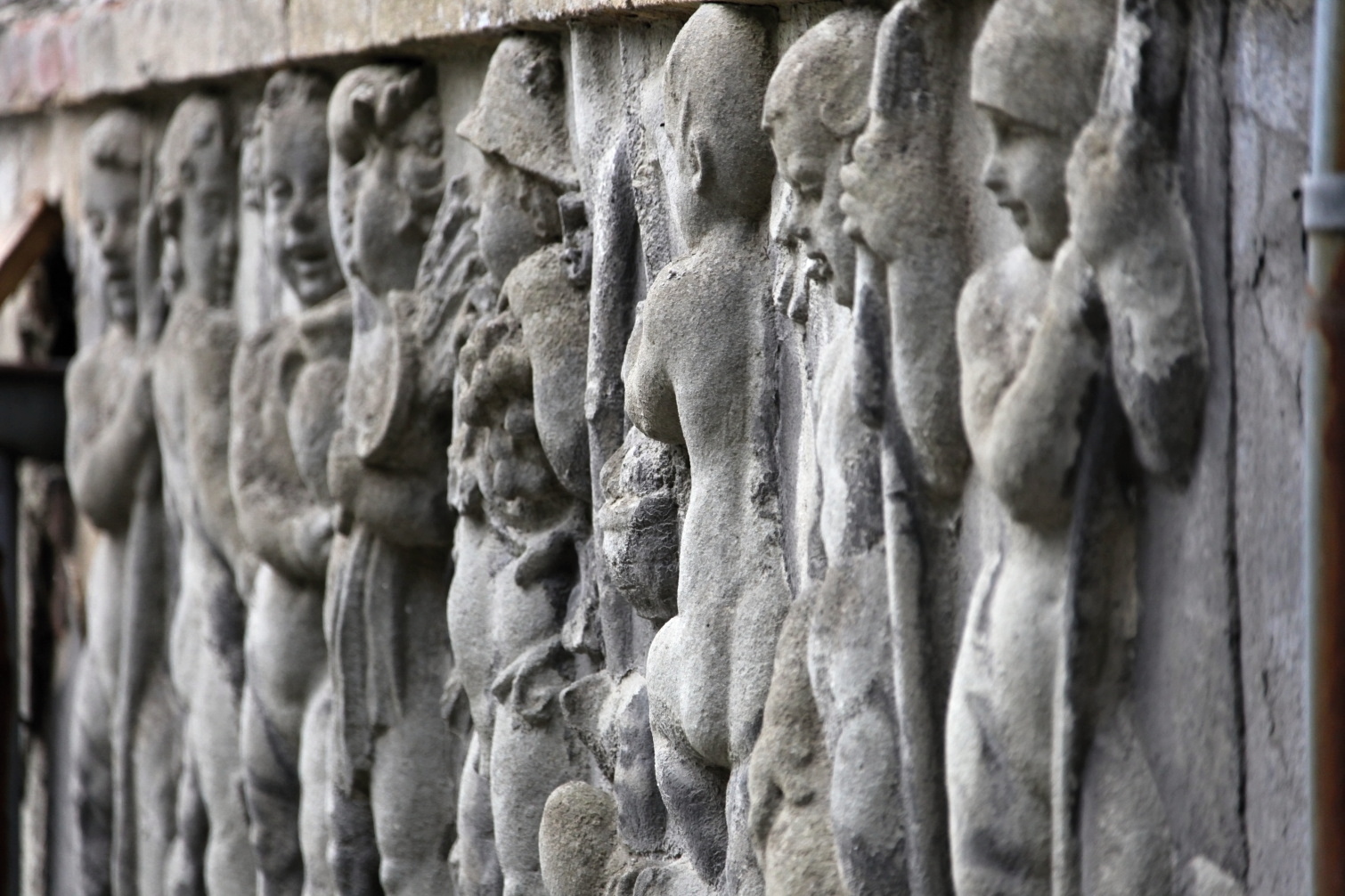 IMG_3549